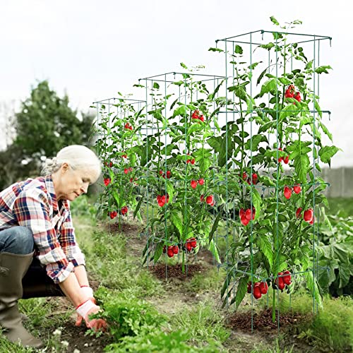 Growneer 3 Pack Square Tomato Cages For Garden, 39 Inches Heavy Duty Metal Folding Plant Support Stake Tower With 328Ft Twist Ties, Garden Trellis For Tomato Cucumber Eggplants Climbing Plants, Green #TOP6