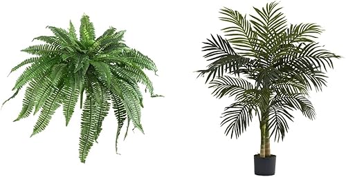 Nearly Natural Helecho Boston artificial en maceta o colgante | Planta falsa, verde, 48 pulgadas, juego de 2 y 5357 palmera de caña dorada, verde