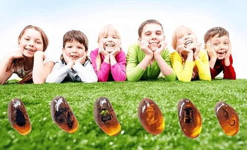Miniatura 7 de 8 piezas de fósiles ámbar con insectos, muestras de piedras de cristal para decoración del hogar, colecciones, colgantes ovalados, colgante de