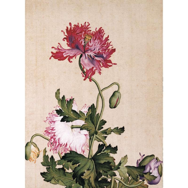 Bristlegrass Jigsaw Puzzles 1000 Pieces for Adults, Chinese Qing Dynasty Giuseppe Castiglione Masterpieces of Art Poppy Pieces Fit Together Perfectly Gifts Decorative Painting Puzzles (1000 pcs) — image 1