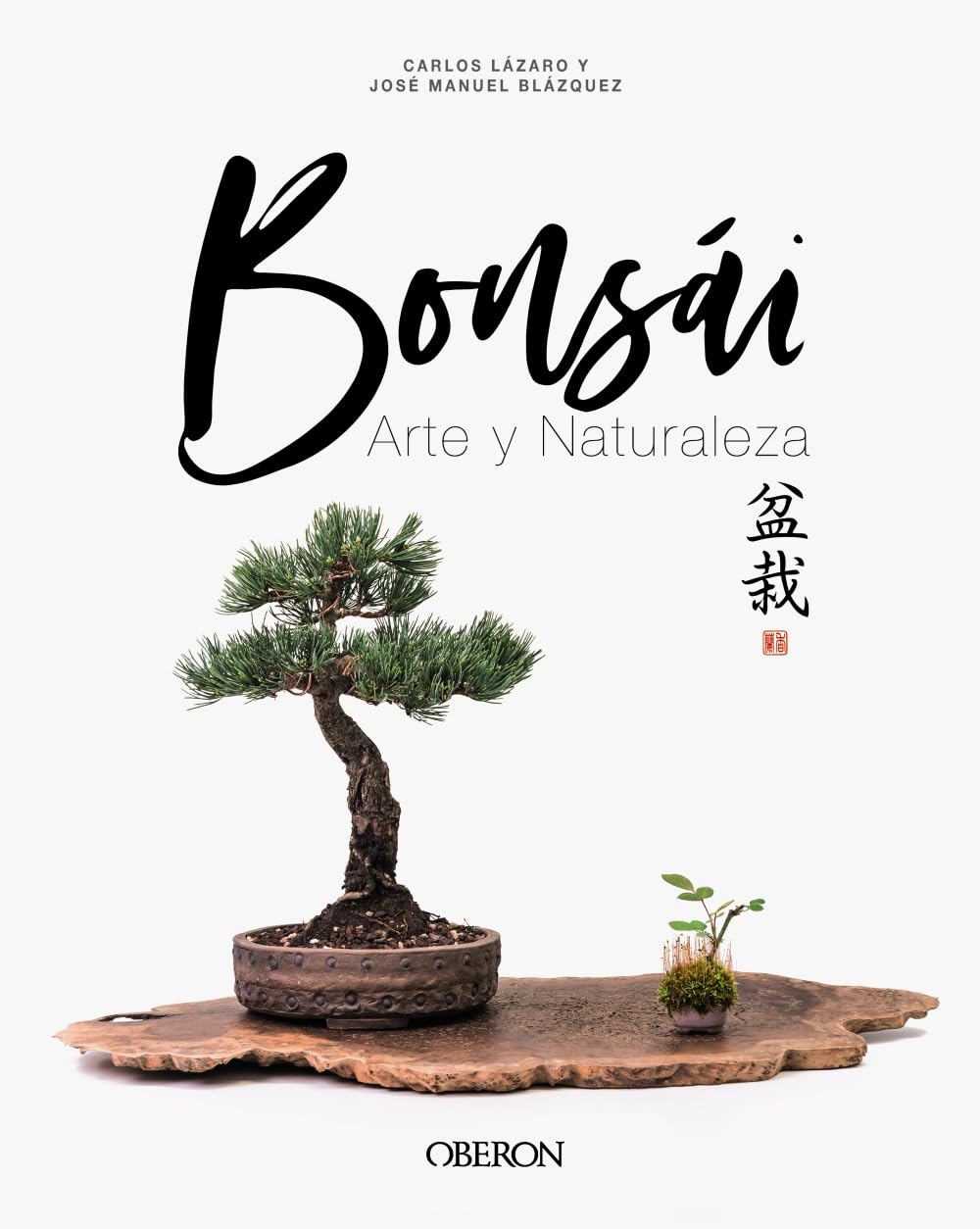 Bonsái: Arte y Naturaleza (Libros singulares)
