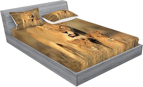 Miniatura 274 de Ambesonne Juego de sábanas bajeras y fundas de almohada con diseño de gato durmiendo en luna creciente, estrellas, sueños nocturnos, juego de ropa