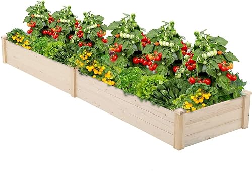 Kit de cama de jardín, caja de jardín de madera, kit de maceta de madera de 8 pies para patio trasero y patio