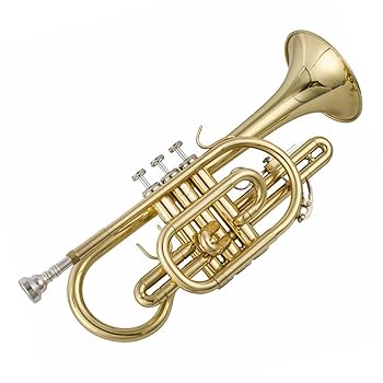 Amazon | ランペット トランペット コルネット 楽器 プロ仕様