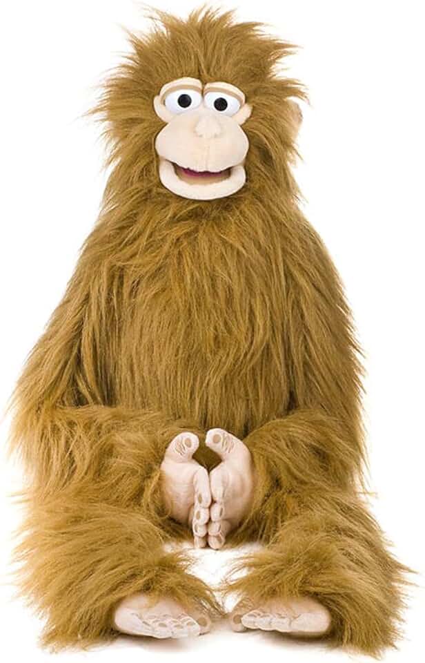 Фанни манки. Обезьянка на прозрачном фоне. Silly monkey. My daddy is a silly monkey. Шимпанзе улыбается.