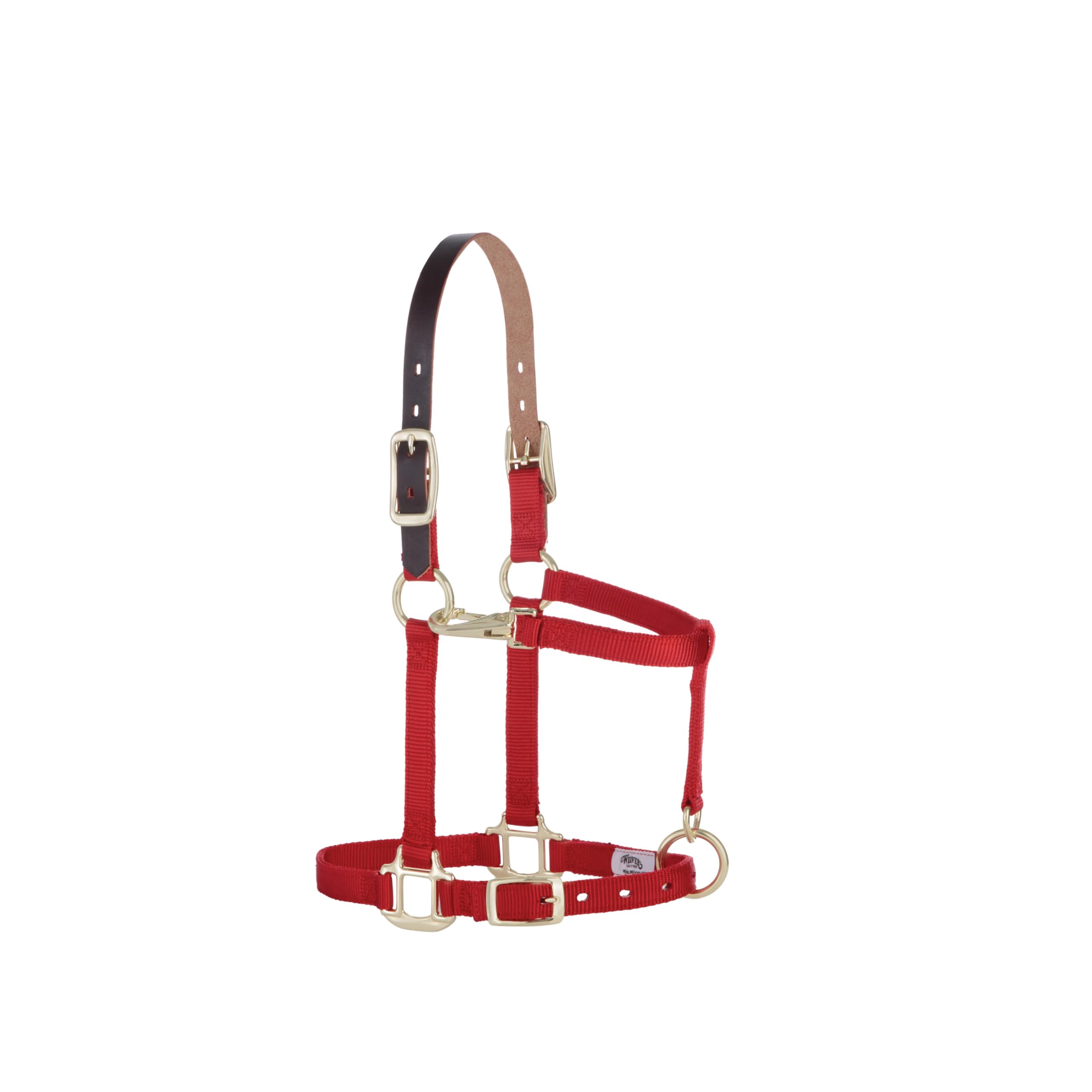 Weaver Leather Cavezza regolabile in nylon per cavalli