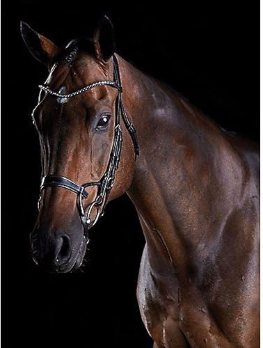 Miniatura 5 de Collegiate ComFiTec Crystal Bridle