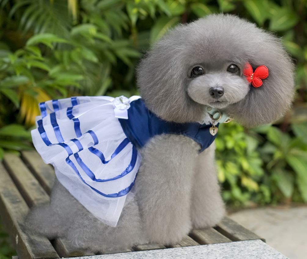 Vestito da principessa a righe per cani di piccola taglia in raso, taglia XL, blu