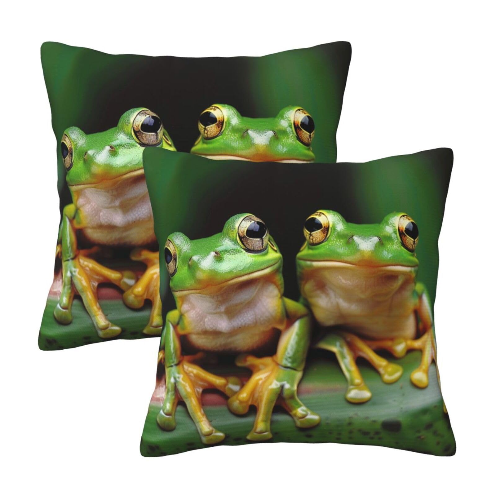 Cute Frog Throw Pillow Cases 2 Pack Square Pillowcases Soft Pillow Protectors for Couch Livingroom Sofa Bed Office Car,30x30 CM