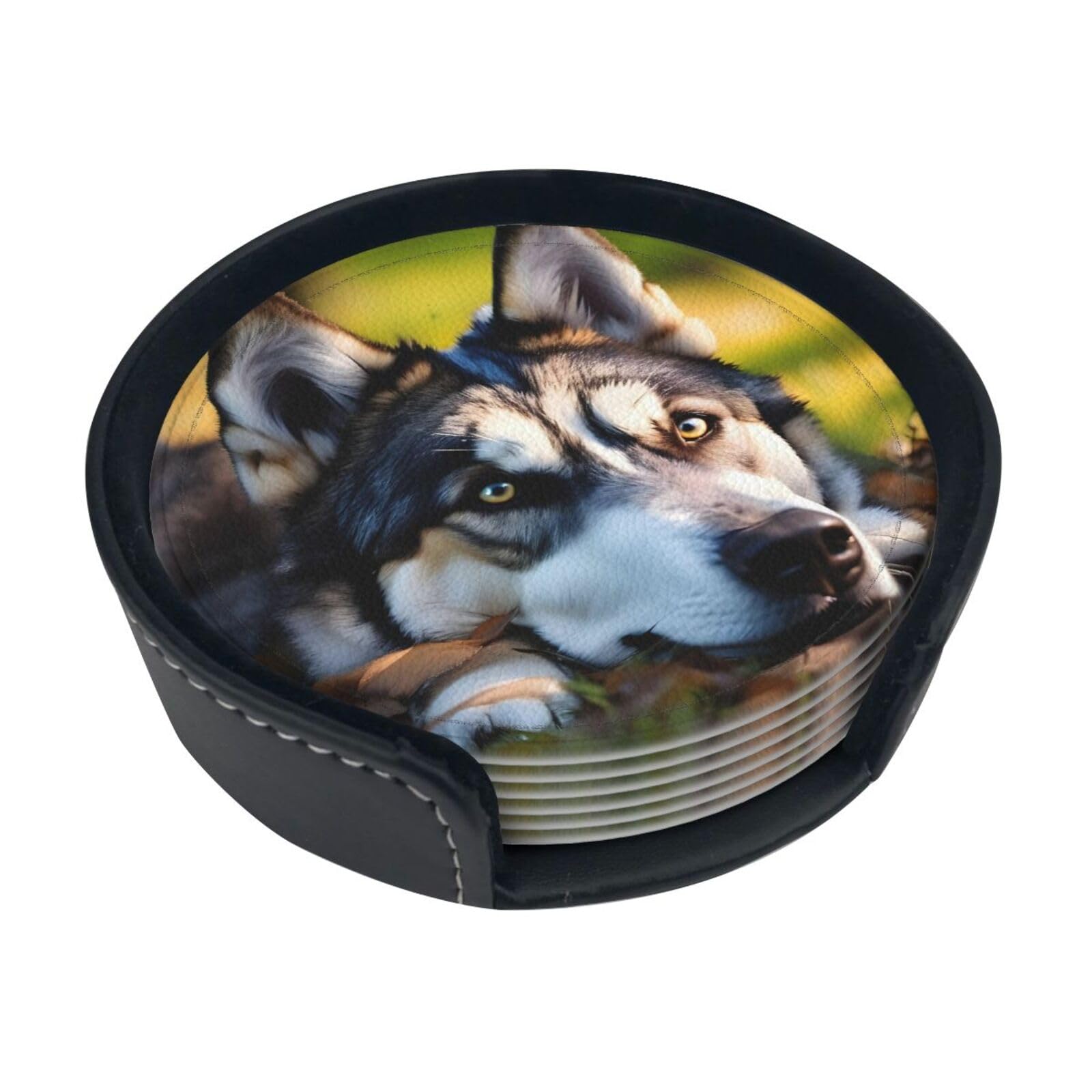 Husky Dog Pattern Print Round Coasters Set Of 6,Coaster For Tabletop Protection Home Bar Decor