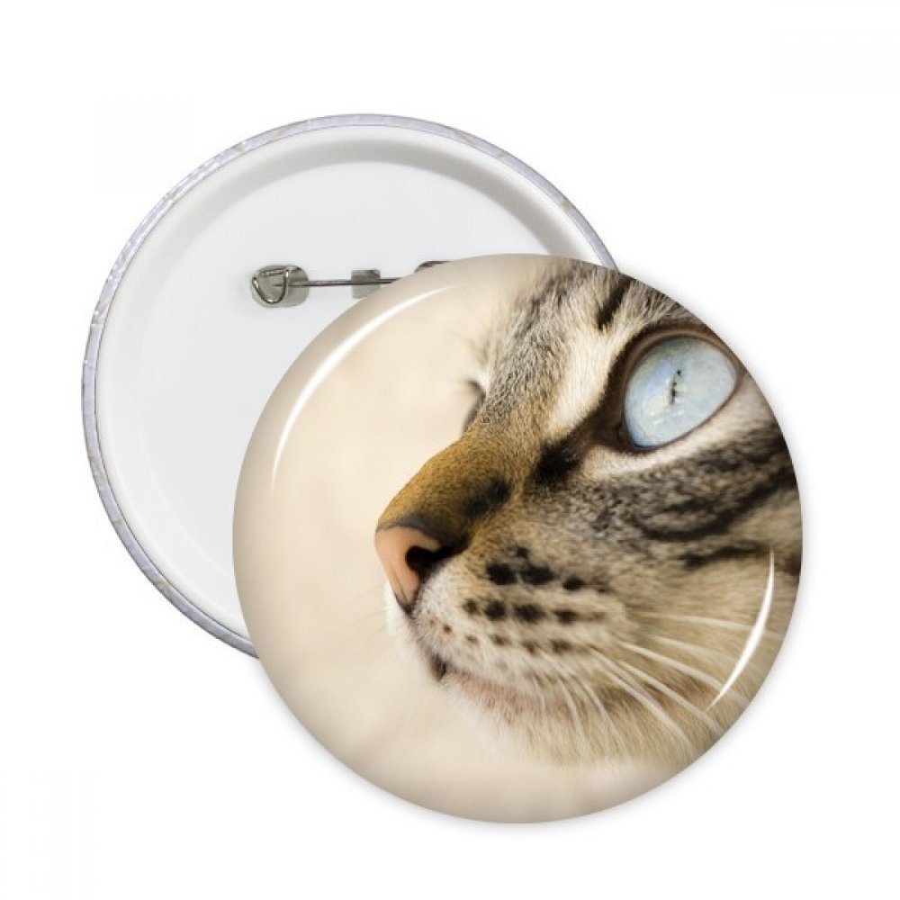 Badge bouton chaton gris yeux bleus pins multicolore S - 3