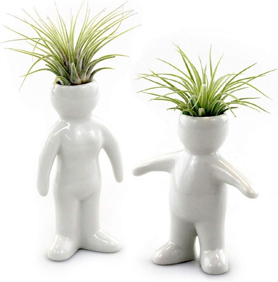 White Ceramic Woman and Boy People Shaped Planter with Live Tillandsia - 4.5" and 3.5" Potted Indoor Plants with People and Pet Shaped Air Plant Holders for Home and Office Decor