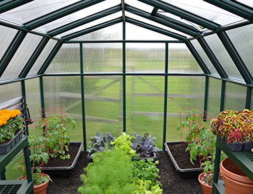 Rion Palram - Canopia Hobby Gardener 8' X 16' Greenhouse #TOP5