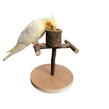 オウム&インコスタンド&止まり木{コメント用} Amazon | 卓上鳥プレイスタンド、木製鳥止まり木