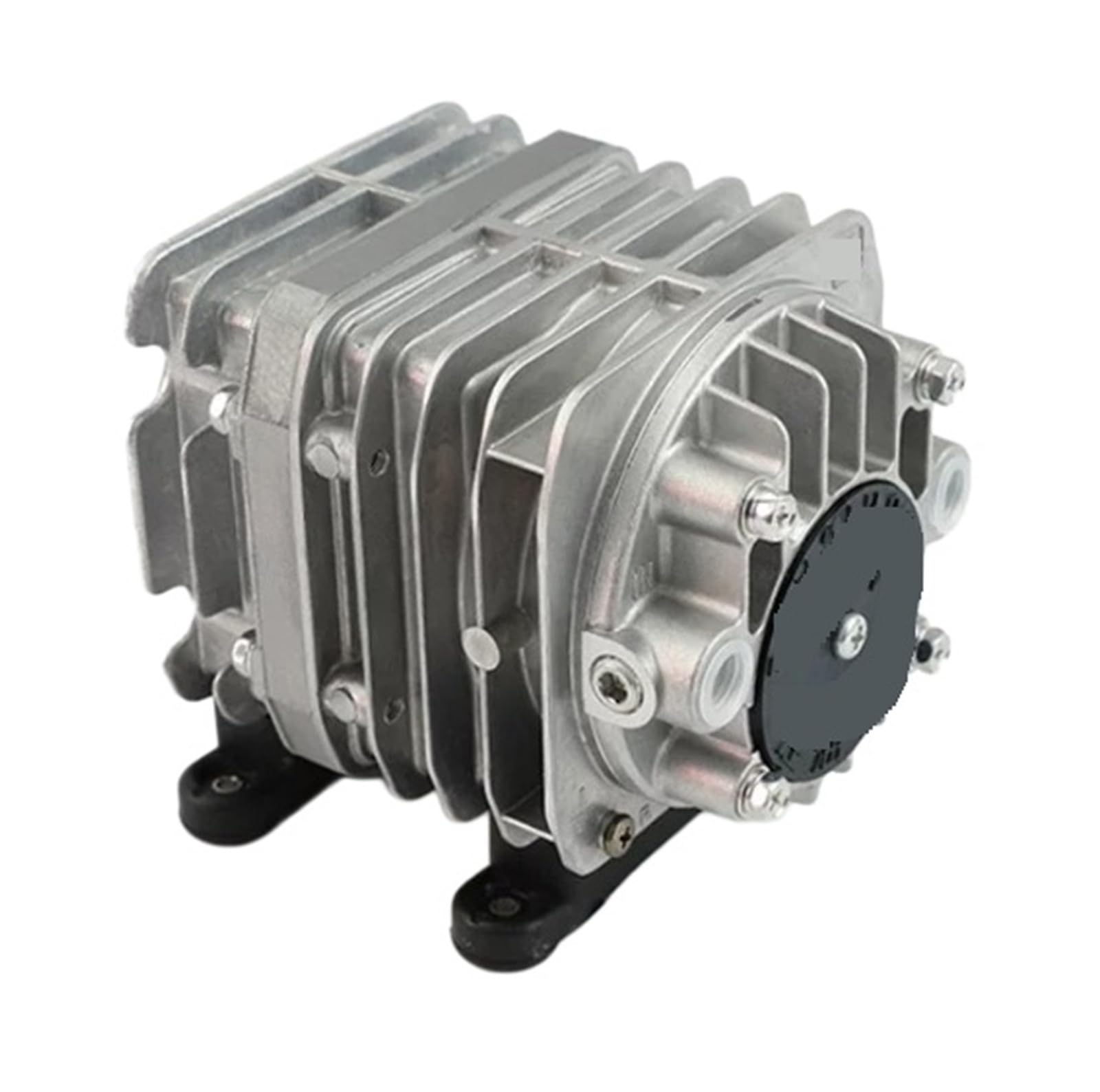 Pompa sottovuoto VP0435A-V1029-P2-1411 Originale