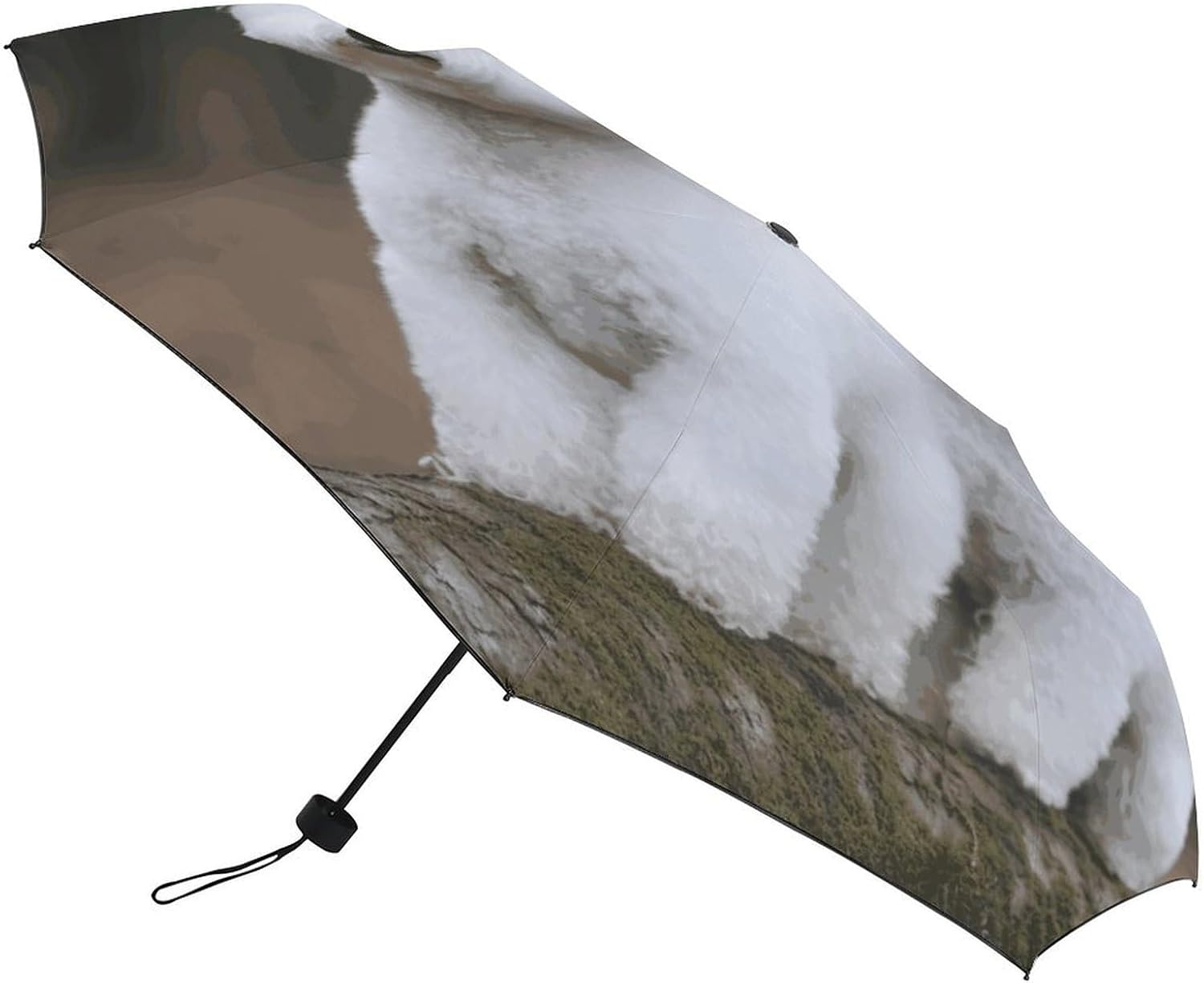 Windproof Travel Umbrella Bichon Frise Folding Small Sun Umbrella Lightweight Small And Compact Suit for Pocket