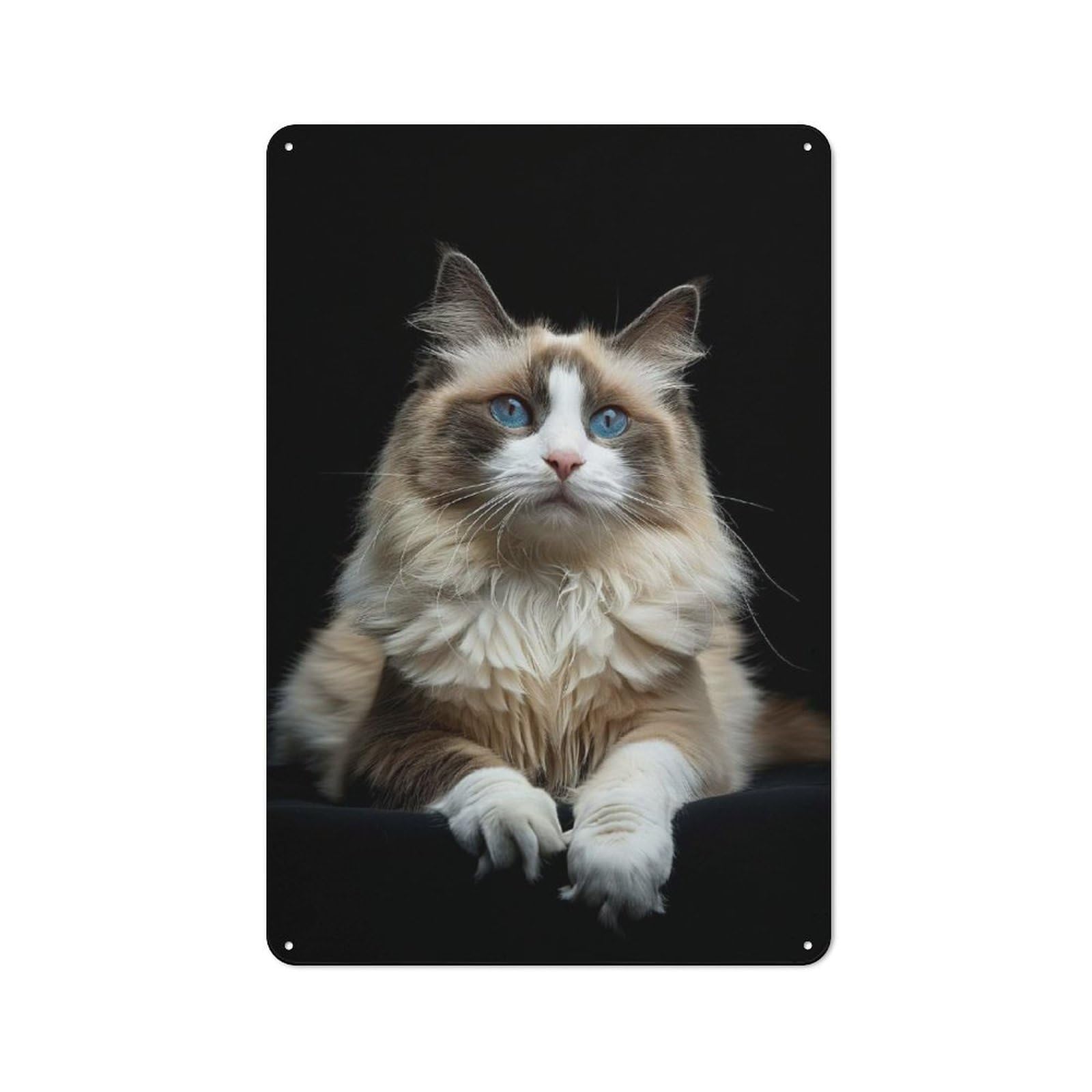Junmoney Ragdoll Shop Front Style Bistro Metal Sign 30X20cm, Cafe Wall Decor For Tea Room, Shop Wall Or Breakfast Area