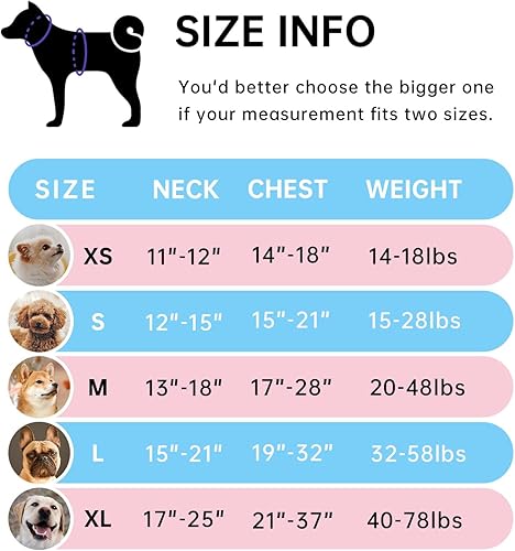 Miniatura 2 de IVY&LANE Arnés sin tirones para perros pequeños, arnés de chaleco para perro con correa, cinturón de seguridad y correa de almacenamiento, arnés