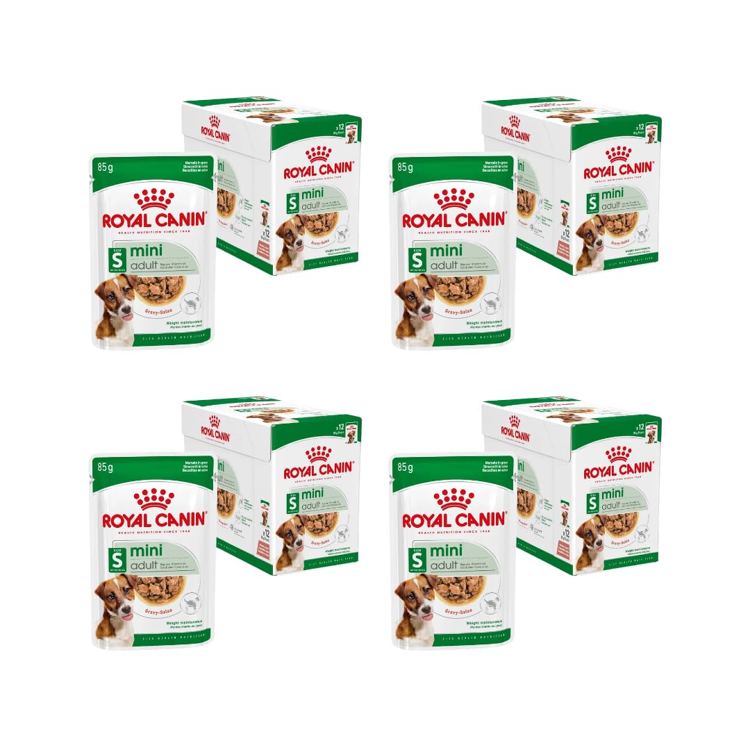 Royal Canin Mini Adult | 4er Pack | 4 x 12 x 85 g | Nassfutter für erwachsende kleine Hunde | mit EPA & DHA