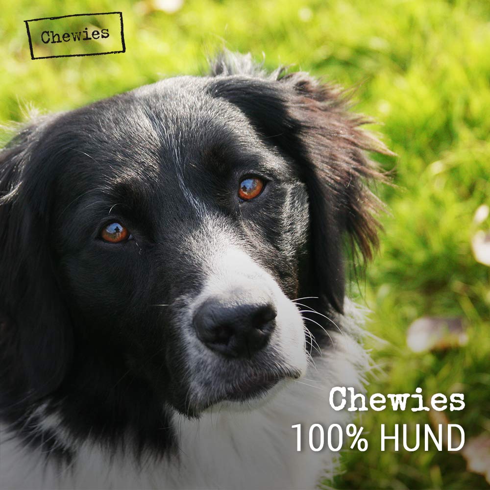 Chewies Kości do żucia zabawka dla psów z drewna oliwkowego - 100% naturalne akcesoria dla psów, niskie ryzyko i trwałe, rozmiar L: dla psów do 30 kg wagi ciała
