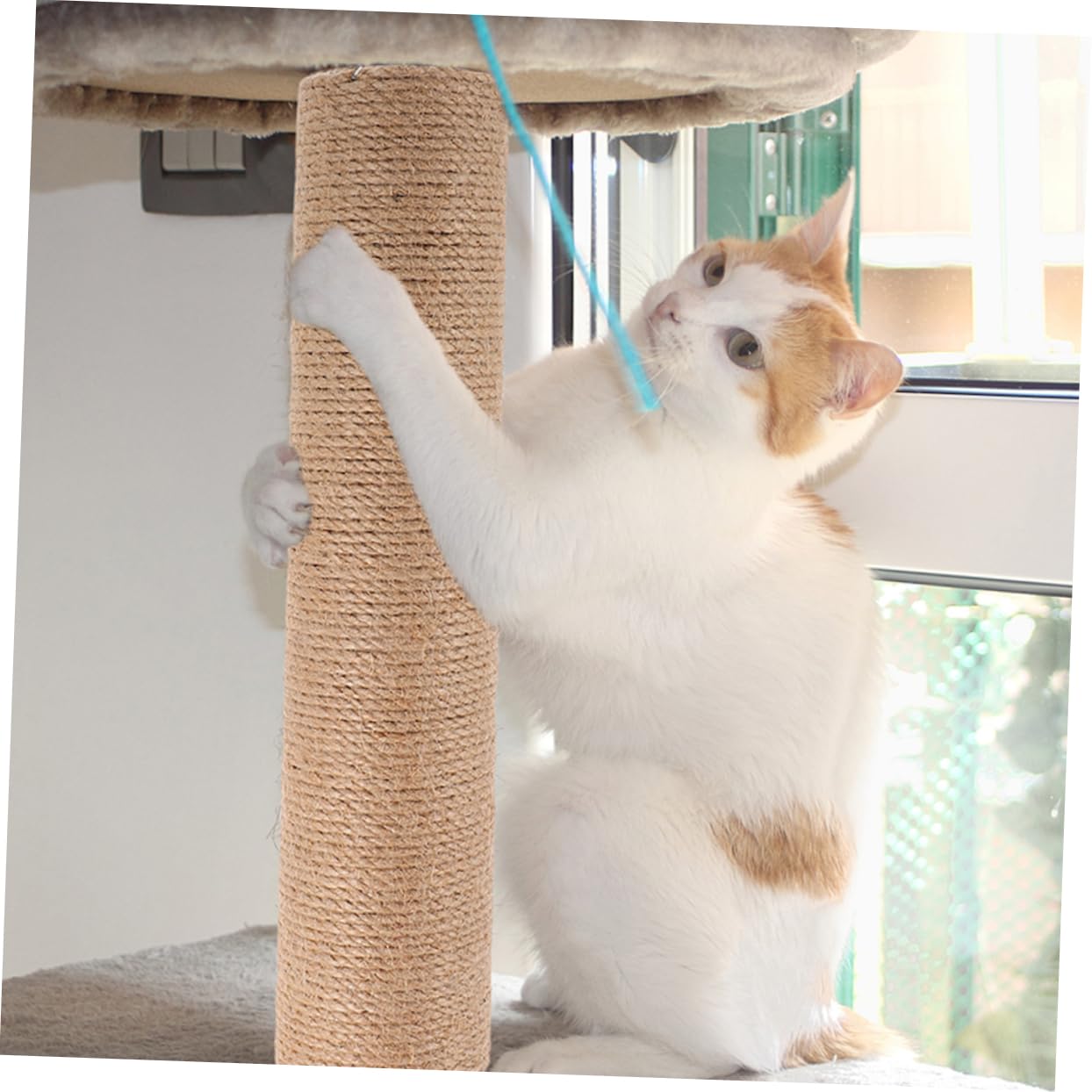 Gatuida Set di 2 Pezzi di Ricambio per Tiragraffi per Gatti Corda di Juta Resistente, Design Verticale per Esercizio e Arrampicata in Appartamenti al Chiuso