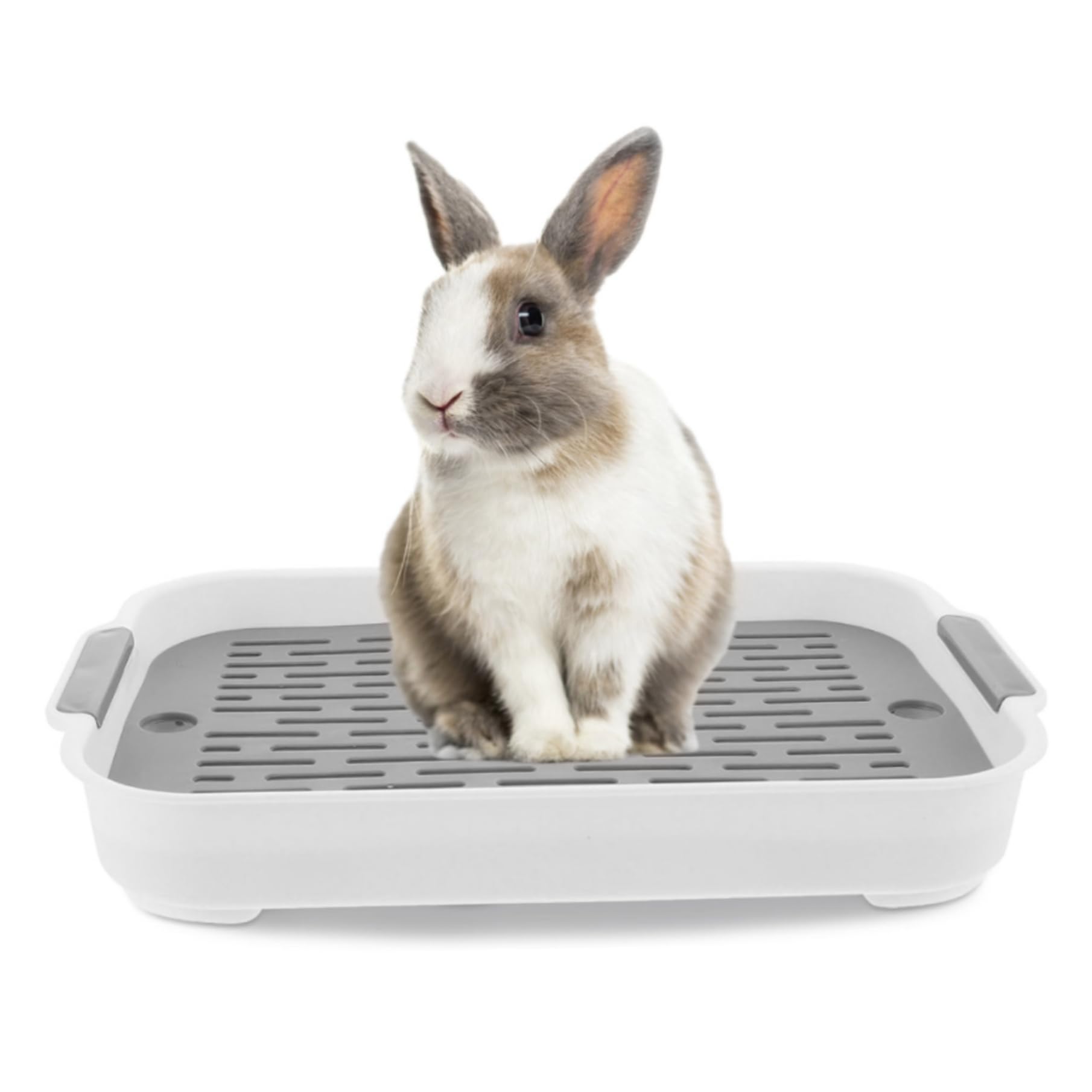 Rabbit Litter Box,Small Animal Litter Cage Potty Trainer Corner Litter Bedding Box,Rabbit Litter Tray 2 Tier Rabbit Litter Box Plastic Rectangular Bunny Pet Toilet 9.65X14.37X1.97 Inch