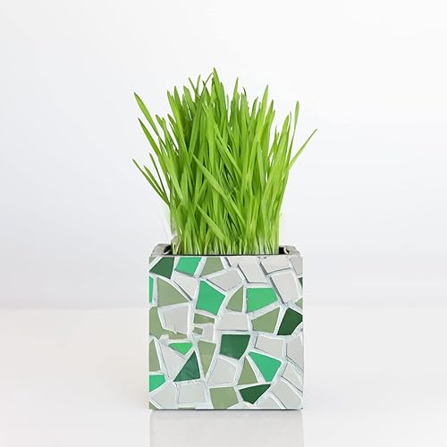 Miniatura 6 de TEHAUX Azulejos de mosaico, azulejos de cerámica irregulares, azulejos de mosaico, azulejos esmaltados, azulejos de mosaico de bricolaje para