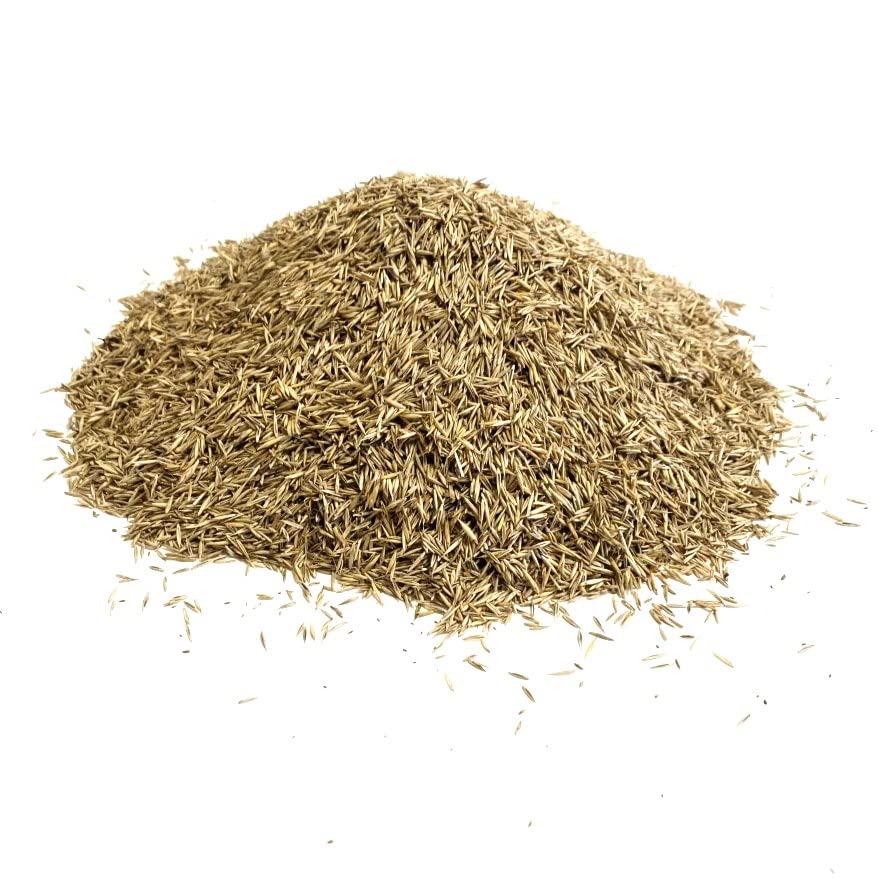 Back Lawn Grass Seed 2kg Hard Wearing (Covers 40 Square metres)