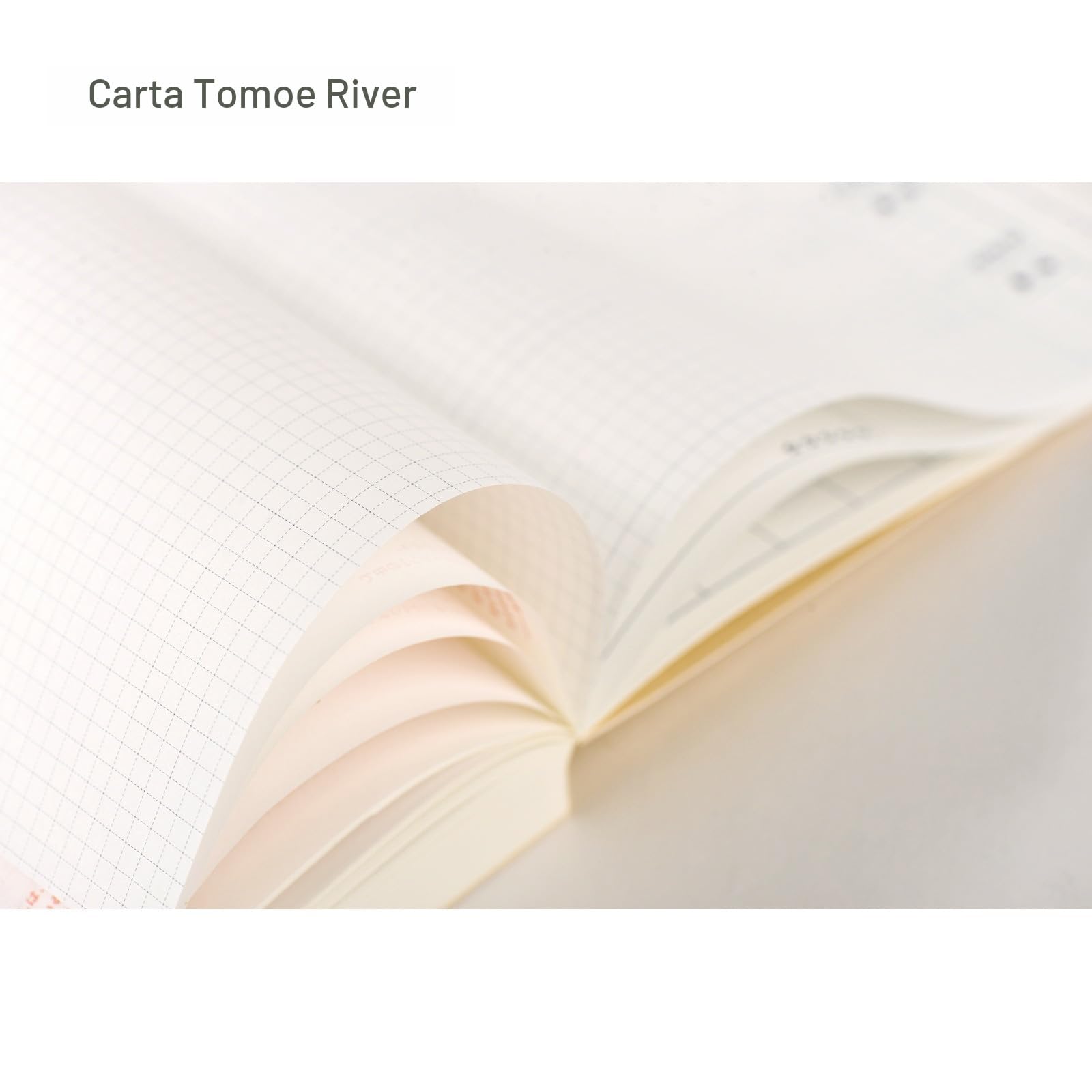 Hobonichi Techo 2026 Cousin Avec Books – Set di 2 libri formato A5, giornaliero, 6 mesi x 2 (inizio gennaio), giapponese, planner
