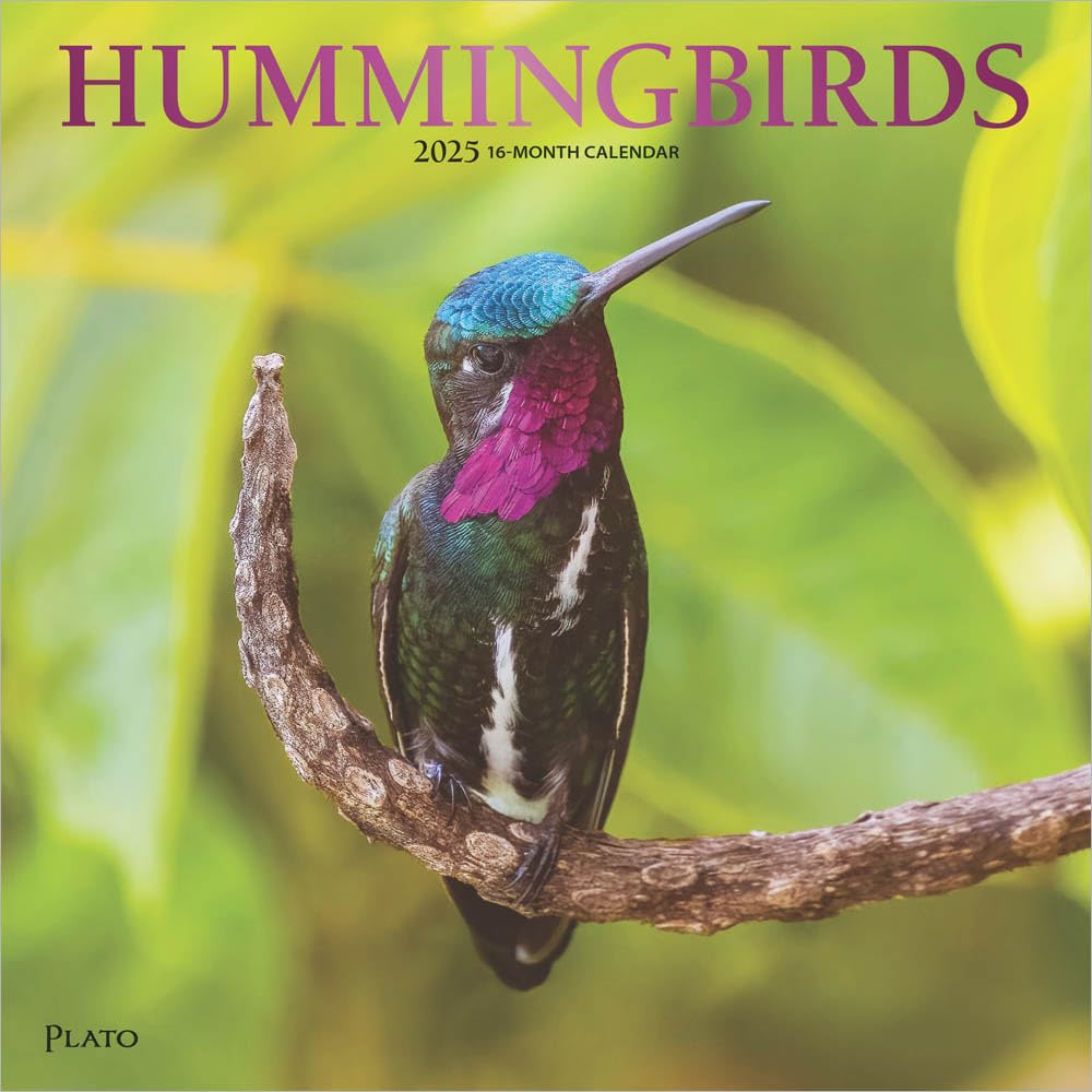 Hummingbirds