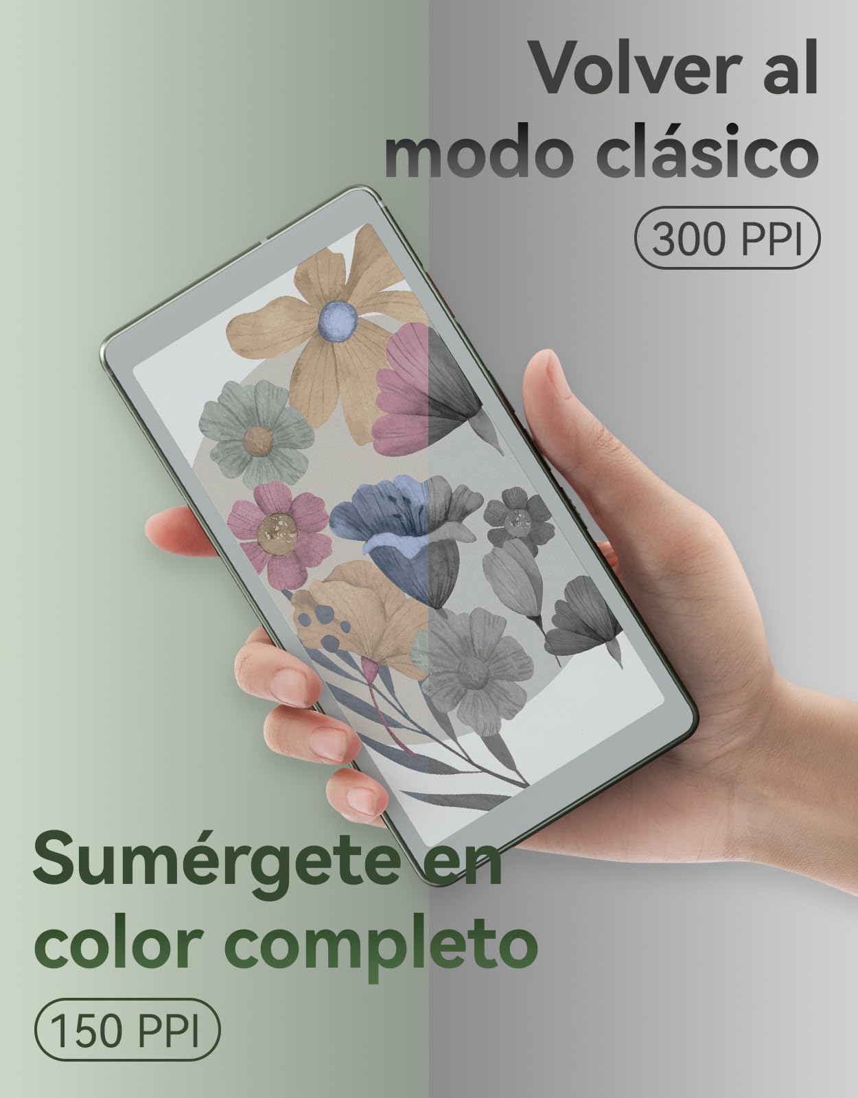VIWOODS 6,13'' AiPaper Reader C con Pantalla a Color, Dispositivo