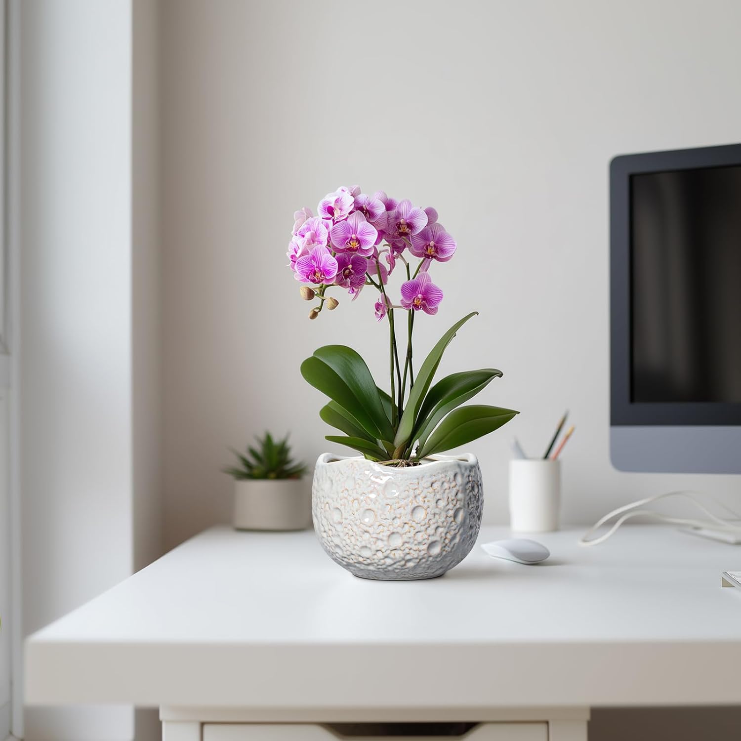 Ceramic Plant Pots 6 Inch - Ceramic Orchid Pot with Drainage Hole and Plug, Unique Pots for Plants Indoor Outdoor, Decorative Modern Planter, Living Room Decor, Plant Lovers Gifts, Grey