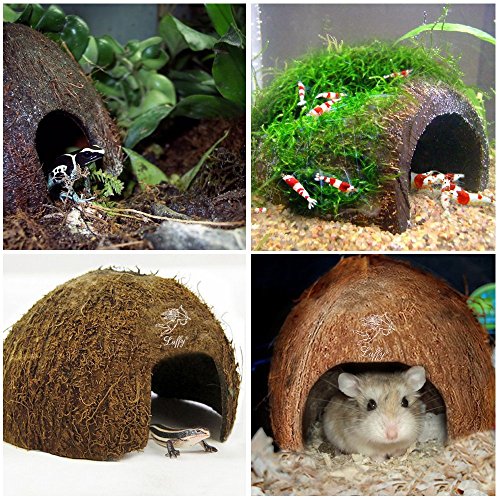 Image of SunGrow Coconut Hut for Crested Gecko, 5x3 Inches Reptile Climbing Hide, Leopard Gecko Tank Cage Habitat Accessories, Smooth-Edged Coconut Shell, for Exercise, Crawling, Perching and Basking Spot