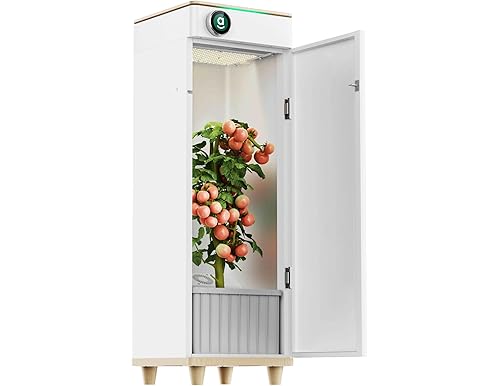 Abby Automated Grow Box System: An Ultimate Guide to Hands-off Gardening