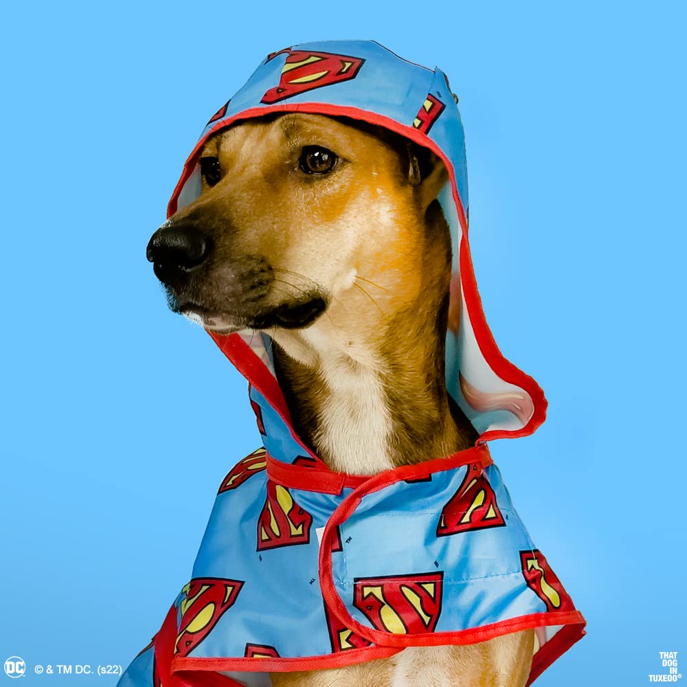 That Dog In Tuxedo Superman Dog Raincoat -Double Layered/Water Resistant/Easy to wear (Blue, 26) 3