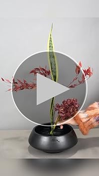 Amazon.com: Eggone Ceramic Flower Pot Flower Arrangement Set