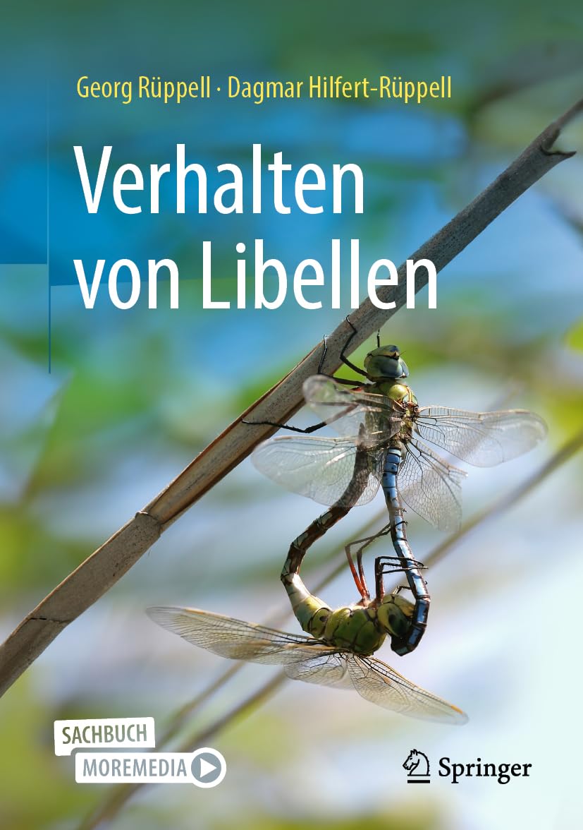 Verhalten von Libellen