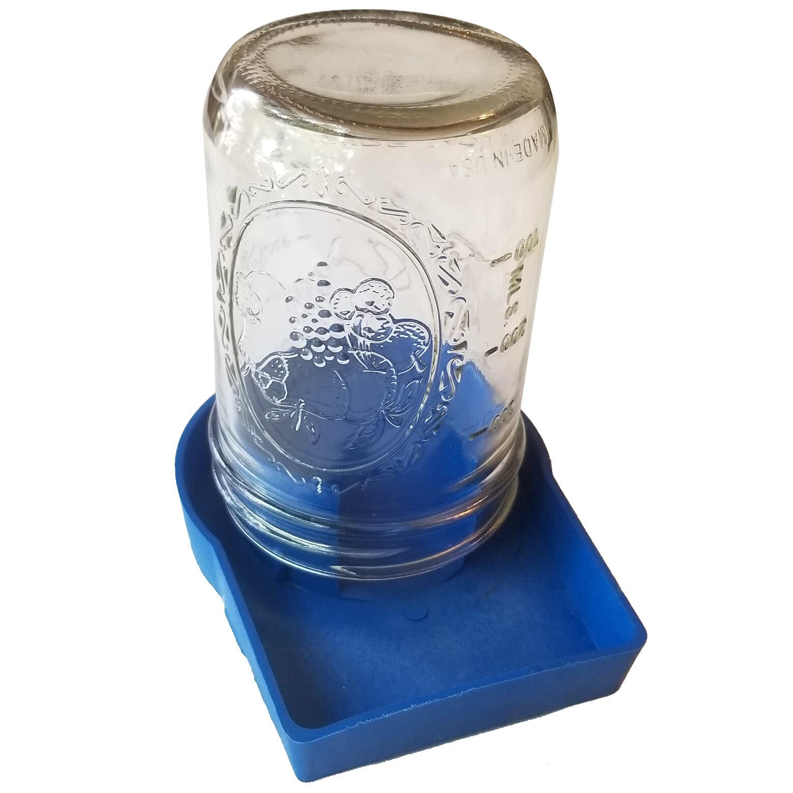 Chick Feeder Heavy Duty Poultry Gamefowl Chicken Quail (1)