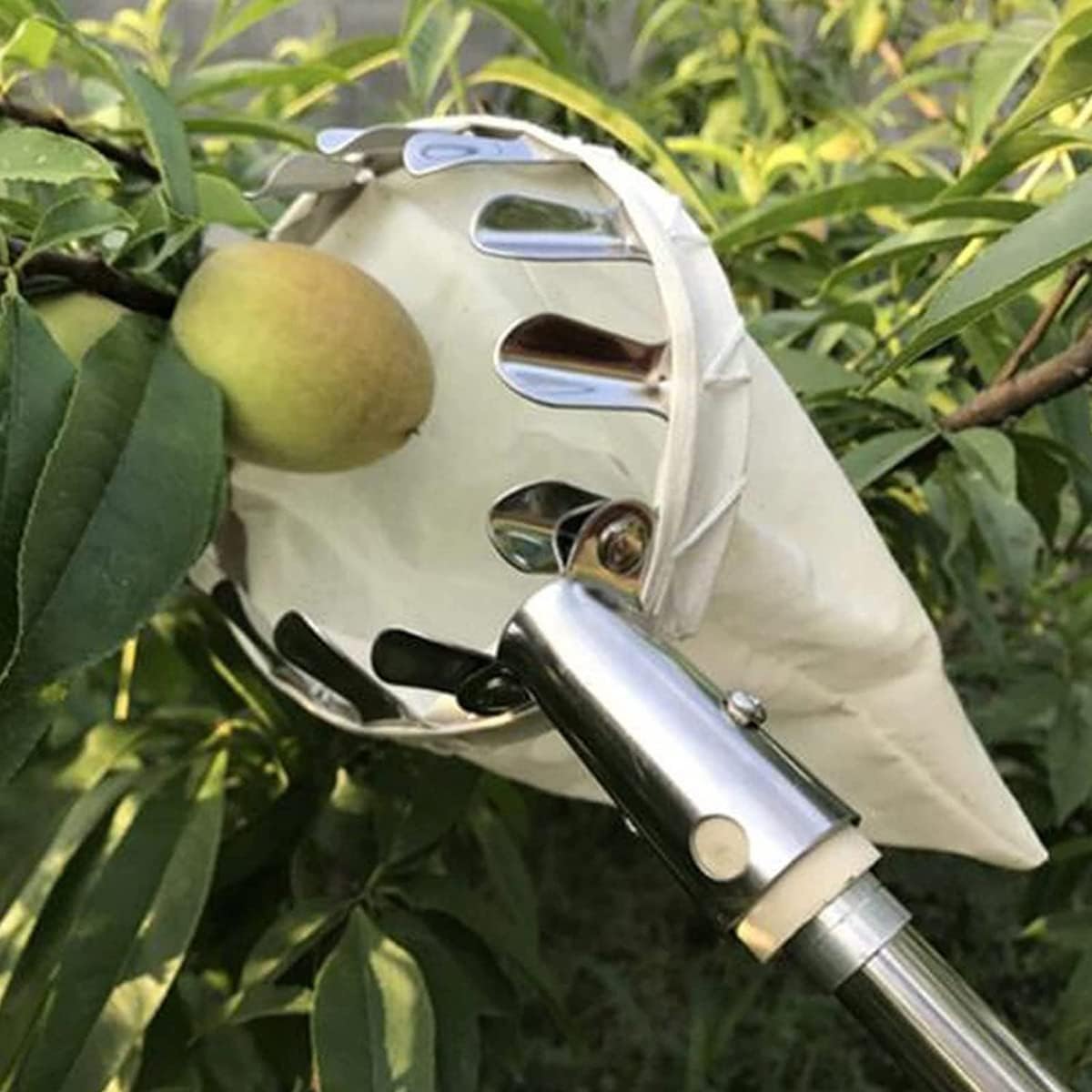 Raccoglitore di frutta Raccoglitore di frutta Raccoglitore di frutta con asta telescopica allungabile for piedi e manico antiscivolo, pratico aiuto for la raccolta di pere, limoni, arance (Size : 6M