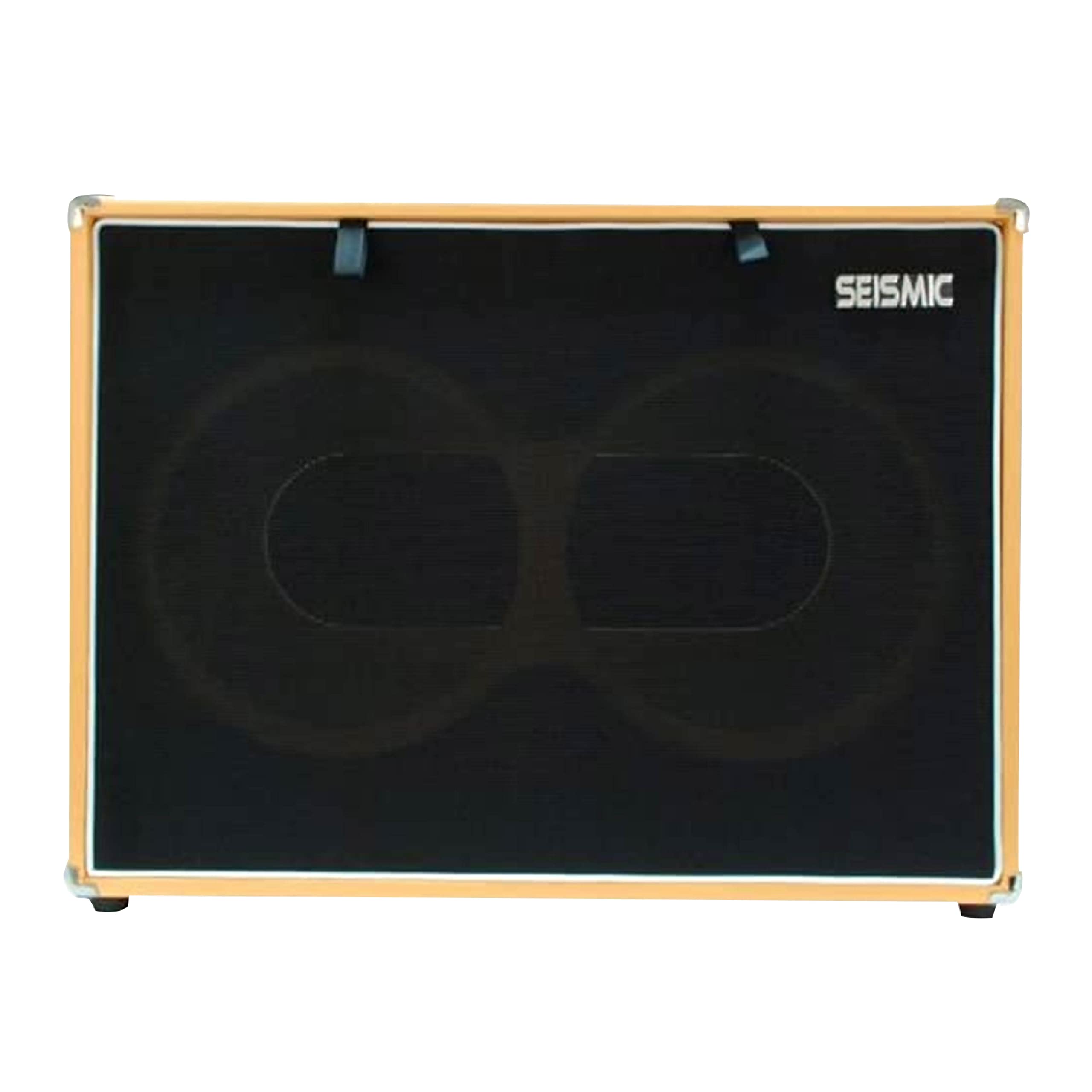 Seismic Audio 2x12 Guitar Cabinet