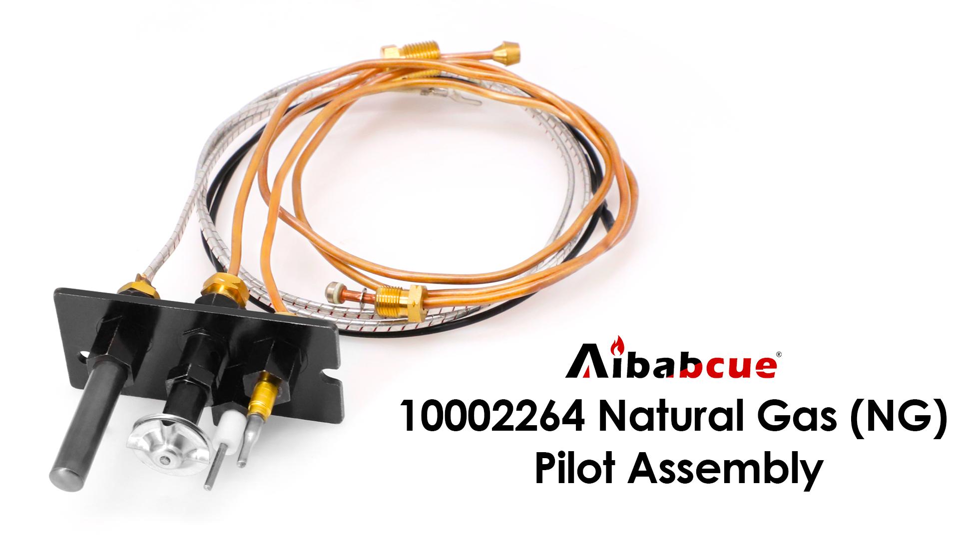 Amazon.com: 10002264 Natural Gas Pilot Assembly Kits For Majestic