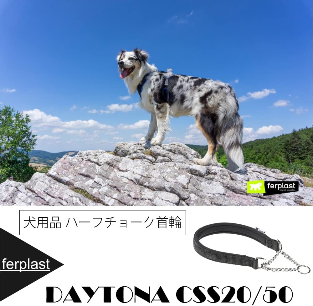 DAYTONA CSS CSS20/50 / Black