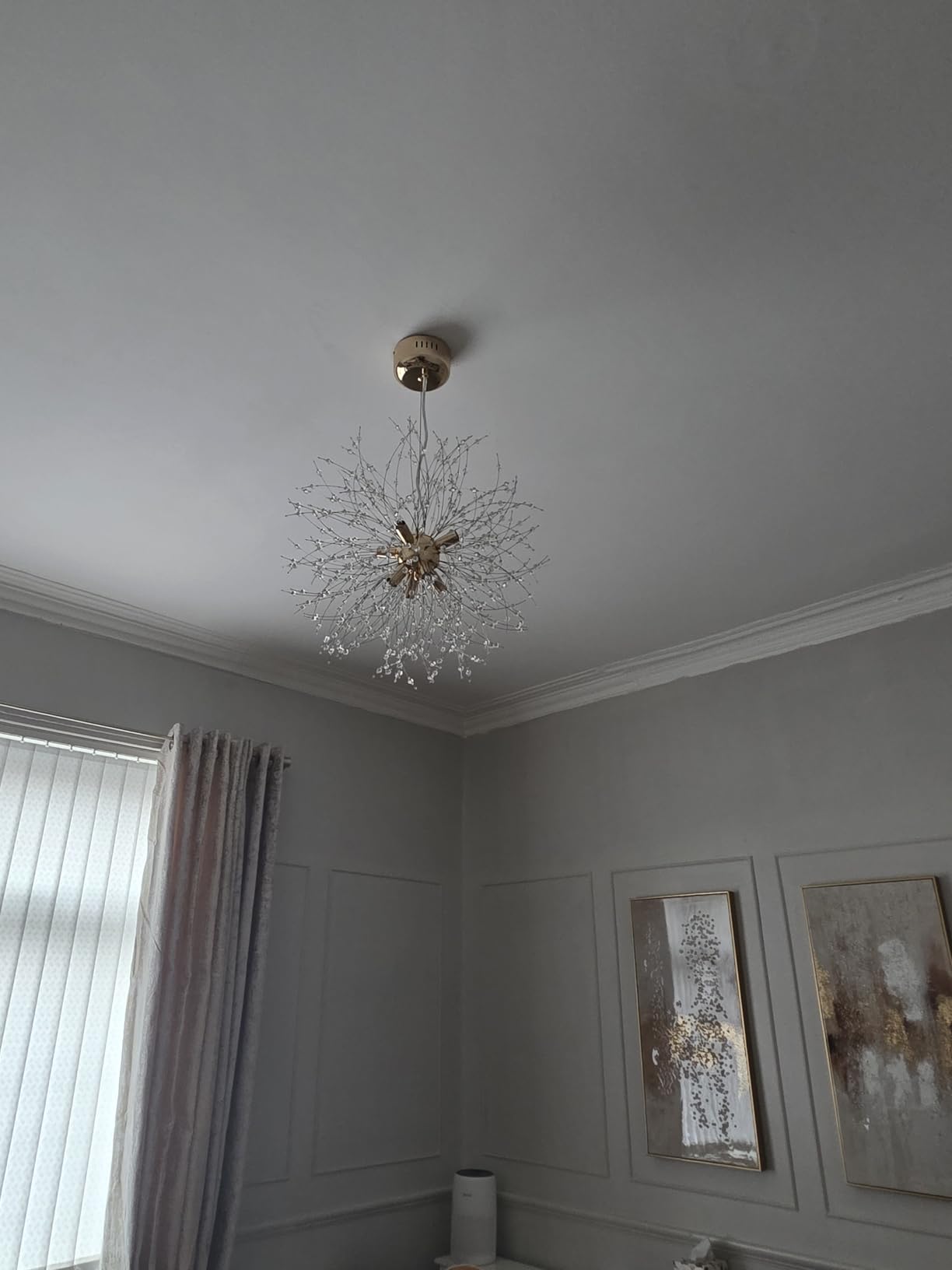 Customer photo
