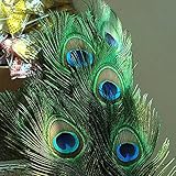 60-70cm ナチュラル 大きな目 孔雀の羽 50/100個 花瓶 クラフト ジュエリー アクセサリー ホームパーティー デコレーション プルーム(100個)