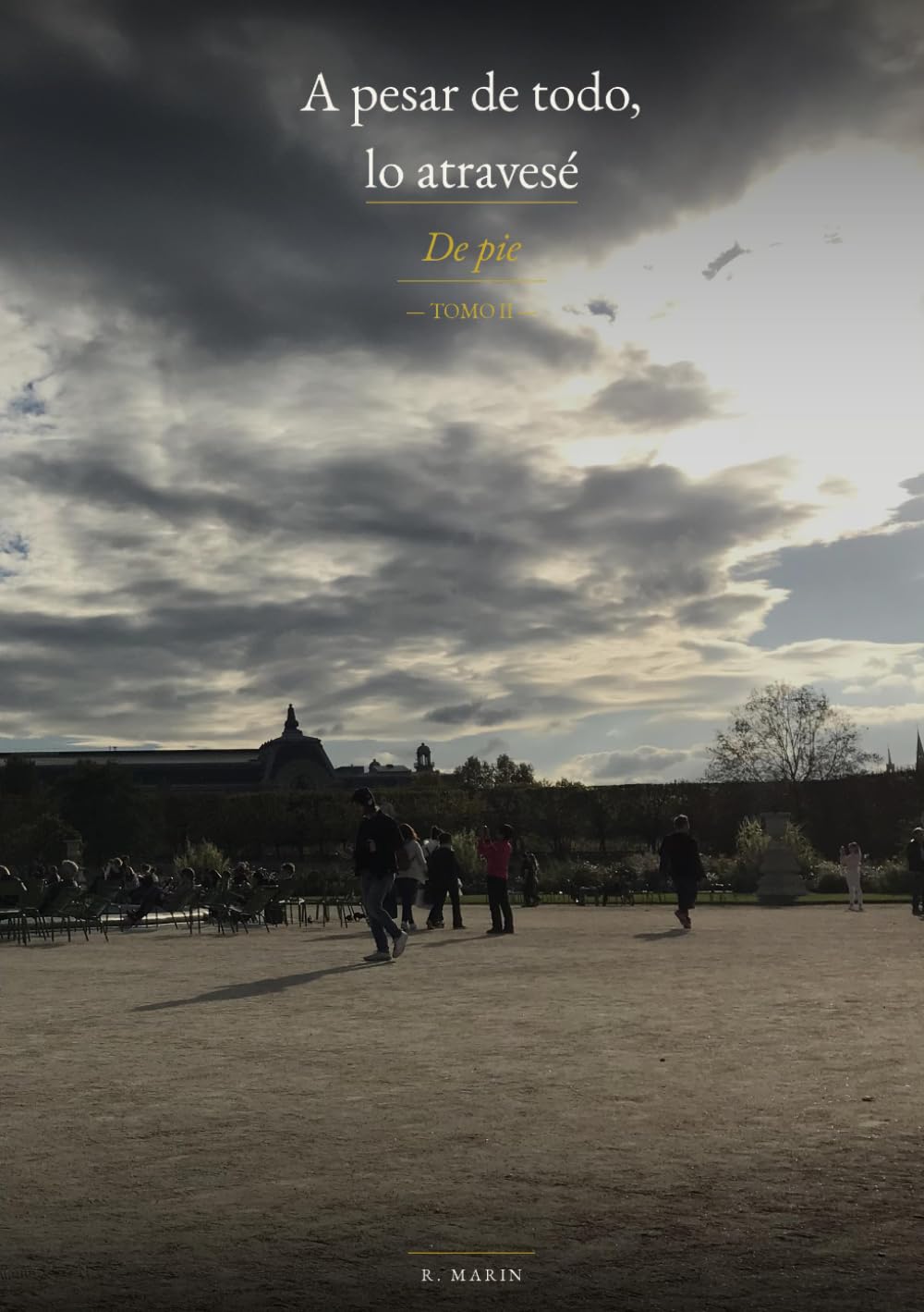 A pesar de todo, lo atravesé: De pie — Tomo II (Malgré tout, j'ai traversé)