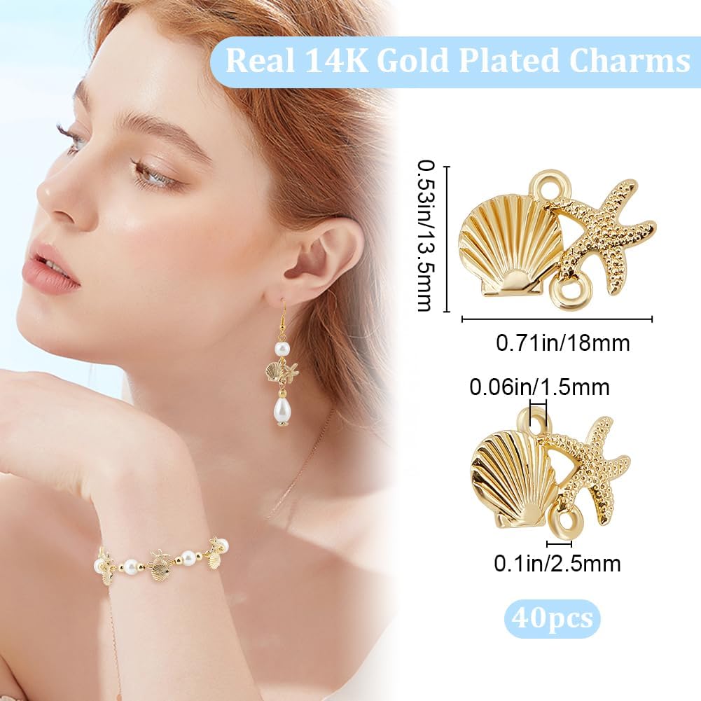 Beebeecraft 1 Box 40Pcs Starfish Connector Charm 14K Gold Plated Sea Stars Ocean Animal Beach Summer Hawaii Scallop Shell Charms Links Connectors for Jewellery Making Charms DIY Crafts - Image 2