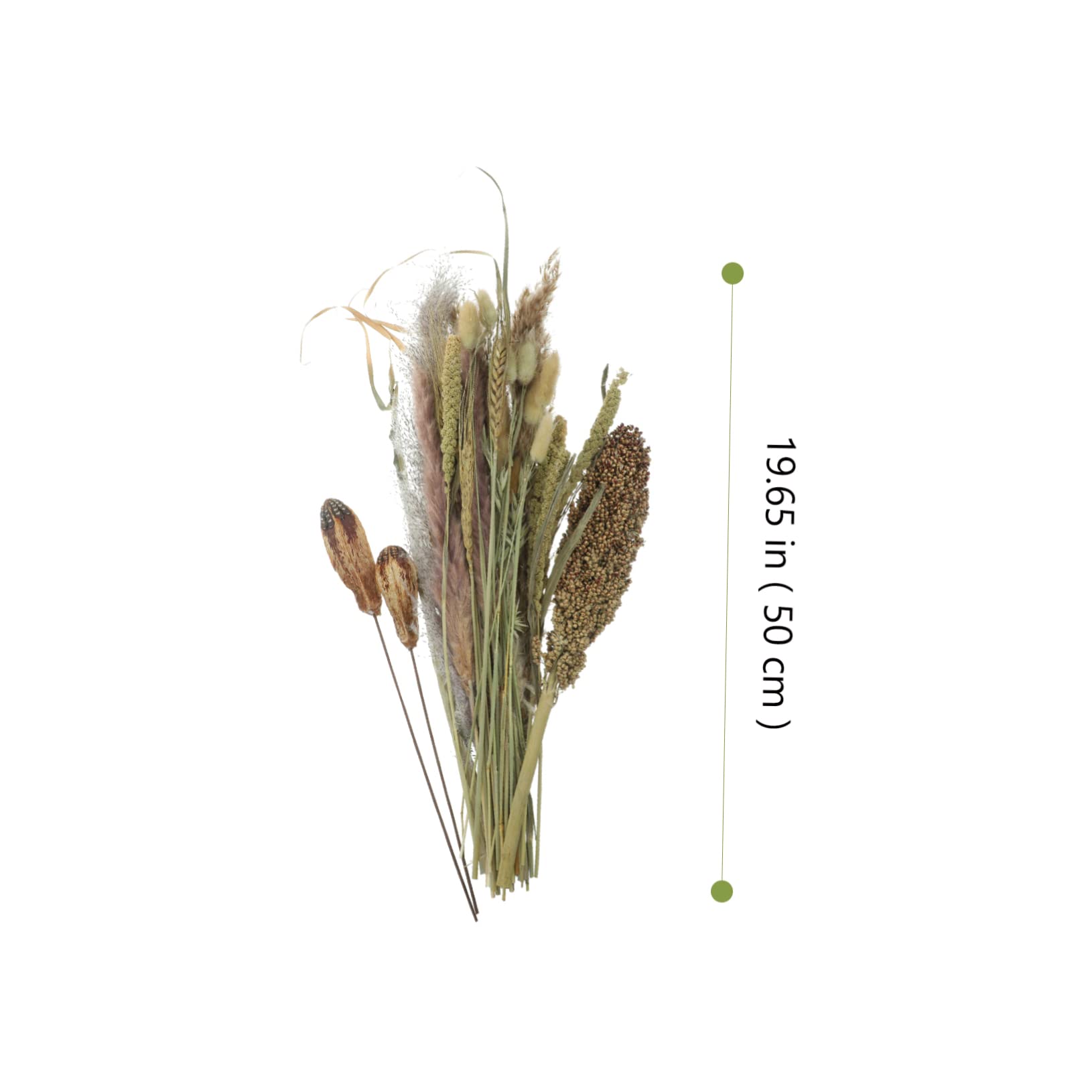 Abaodam 2pezzi Bouquet Di Pampa Essiccati Naturali Per Decorazioni Domestiche Composizioni Floreali Dried Broomcorn Per Matrimoni e Eventi Adatti Stili Boho e Rustici