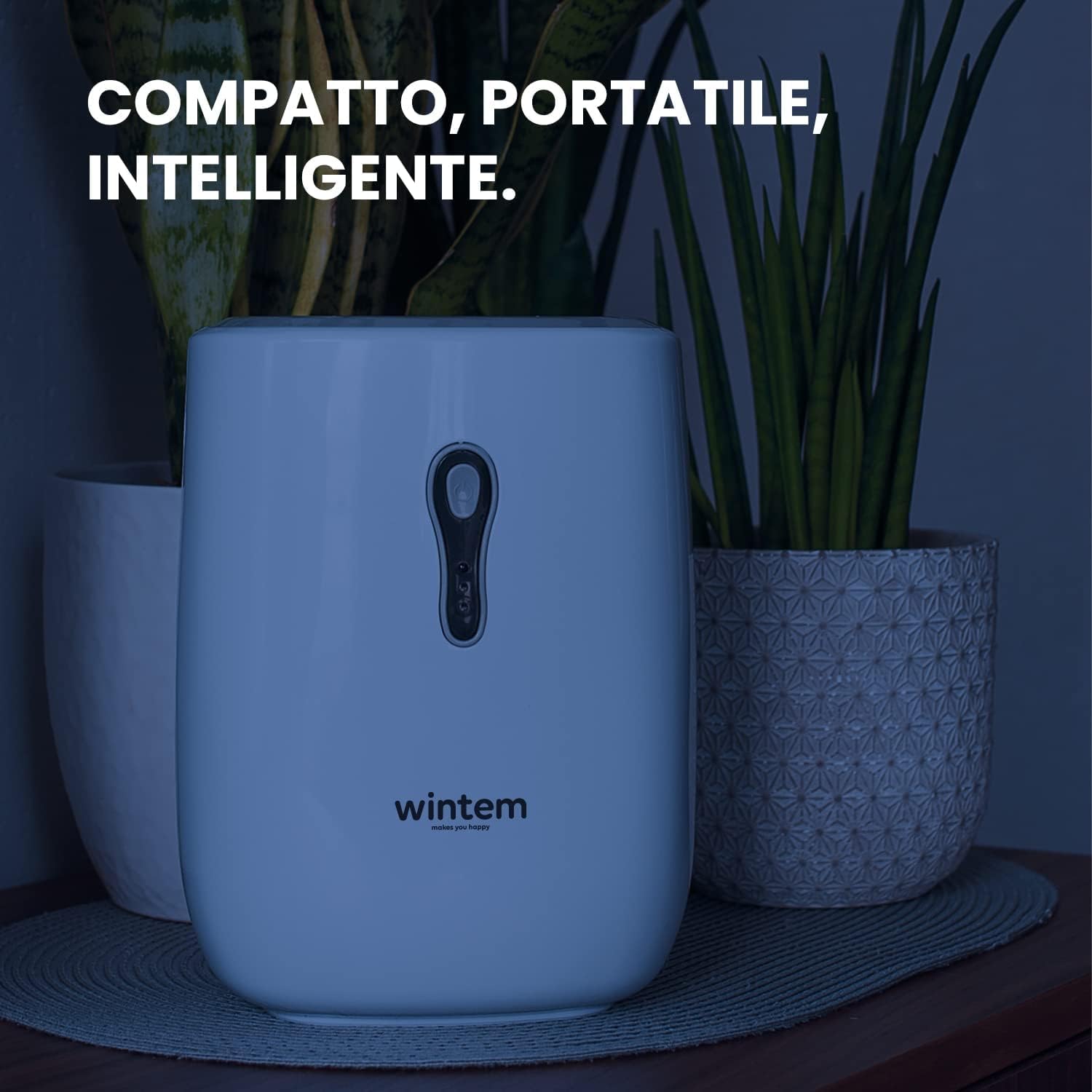 Wintem Deumidificatore Casa Muffa e Umidità Silenzioso Portatile da 500ml - Ideale per Ambienti fino a 100mq con Tecnologia Peltier per Risparmio Energetico - Certificato Italia