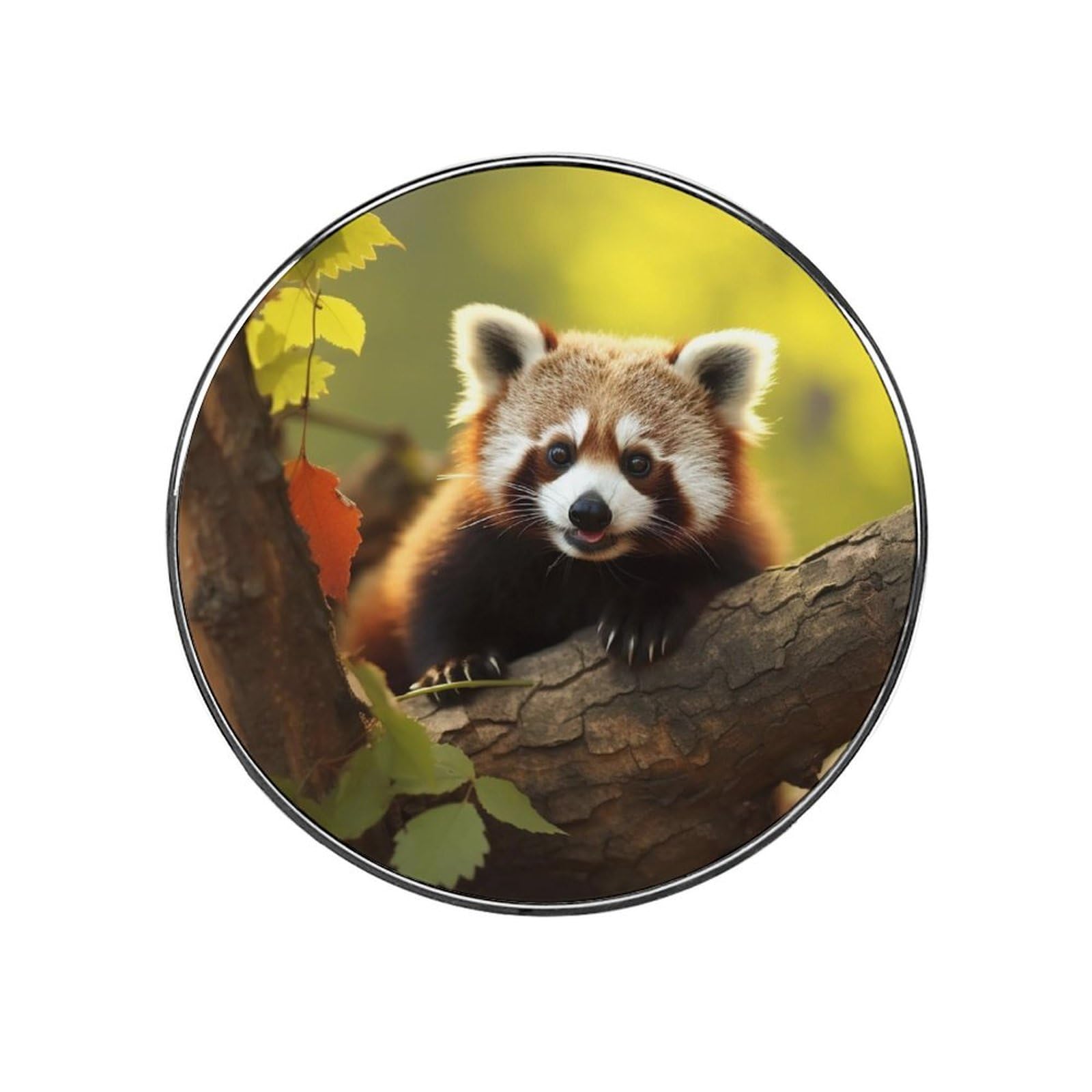 Fridge Magnets Waterproof Heavy Duty Small Strong Magnet Cute Raccoon Refrigerator Magnets Cute Magnetic Locker Accessories Mini Decorative Magnet for Whiteboard Office Kitchen Decor