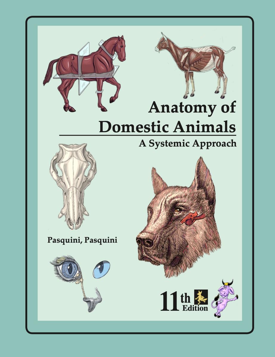 Anatomy of Domestic Animals: Systemic & Regional Approach